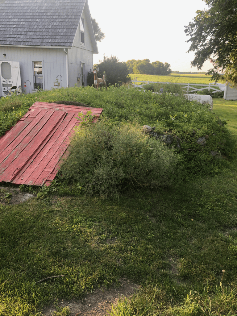 root cellar